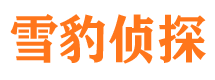 名山调查公司